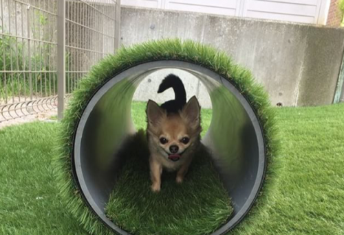 サブ④