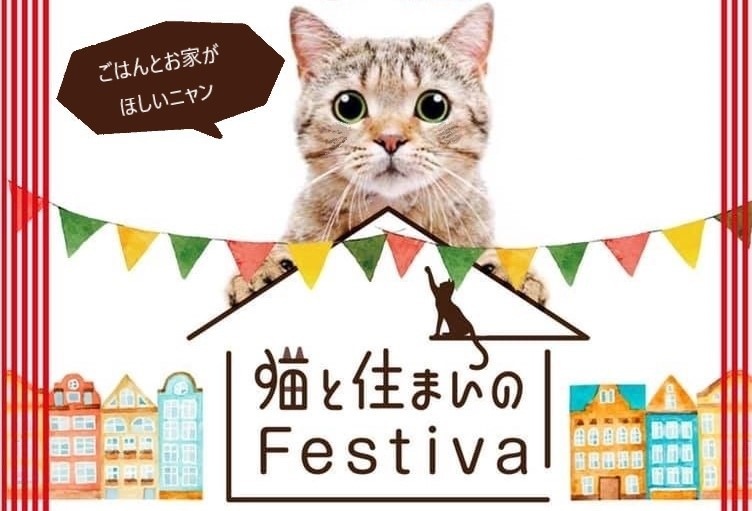 猫との暮らしを楽しむ&ボサノバイベント!