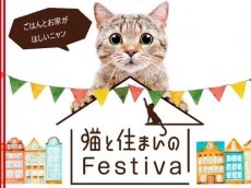 猫との暮らしを楽しむ＆ボサノバイベント！