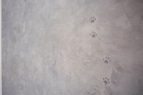 グレーの壁クロスをよく見ると、猫の足跡が!