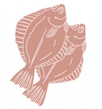 カレイイラスト