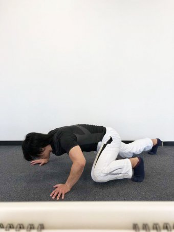 クロコダイルクロール2