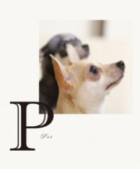 予算少なめでも可能な、比較的小さなリフォームのアイディア。ペットのリフォーム