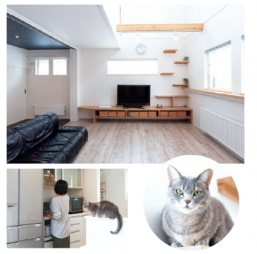 3匹のねこが遊べる空間