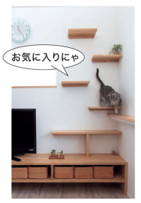 リビングのキャットウォーク