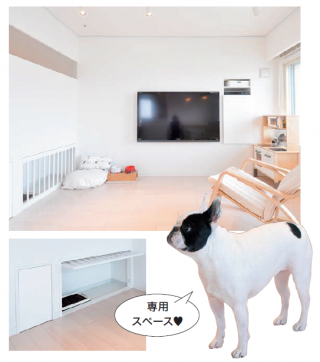 リビングの壁を使ってわんちゃん専用のお部屋を作った事例