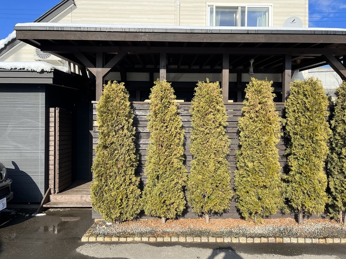 佐虎建業　ユニットバス一体型サウナ【サトラウナ】体験入浴施設①