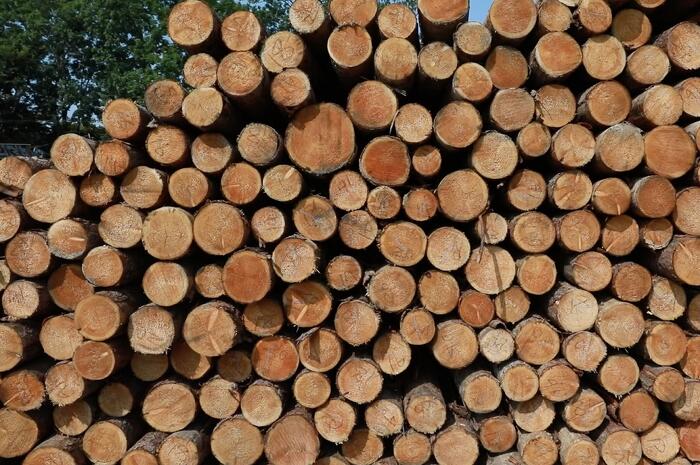 カサシマ建設会社紹介_北海道産マツ材