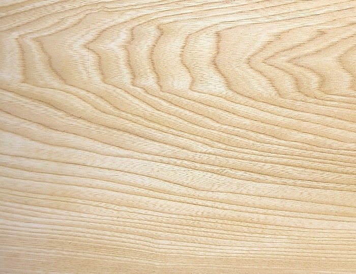 栓の板目。欅に似た力強い木目と白系の色が特徴。