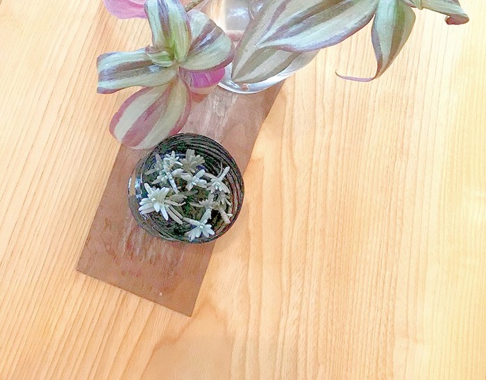 国産材の中では濃い色を持つ日本のウォールナット（鬼胡桃）