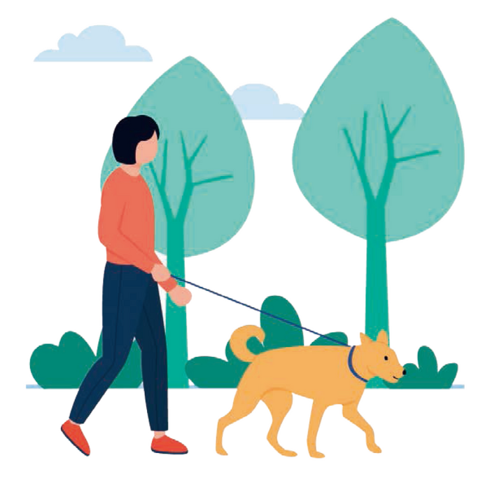 立ち姿や歩く姿勢が良くなるイメージ画像